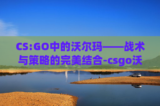 CS:GO中的沃尔玛——战术与策略的完美结合-csgo沃尔夫