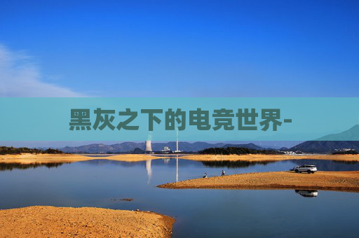 黑灰之下的电竞世界-