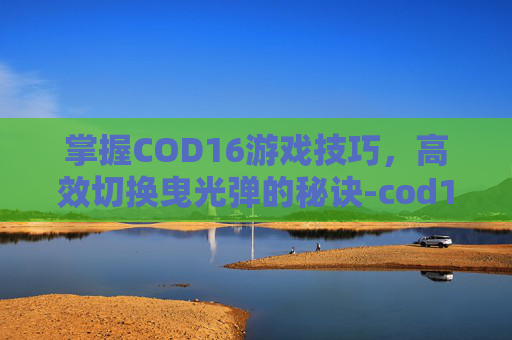 掌握COD16游戏技巧，高效切换曳光弹的秘诀-cod16所有曳光弹