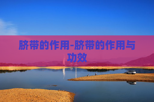 脐带的作用-脐带的作用与功效