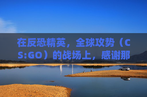 在反恐精英，全球攻势（CS:GO）的战场上，感谢那些不可或缺的英雄们-csgo感人语录