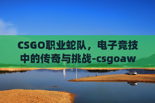 CSGO职业蛇队，电子竞技中的传奇与挑战-csgoawp蛇
