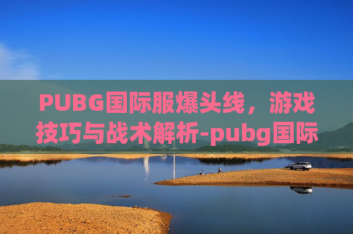 PUBG国际服爆头线，游戏技巧与战术解析-pubg国际服探头在哪