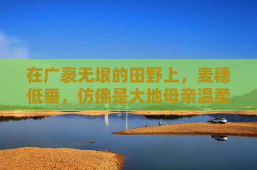 在广袤无垠的田野上，麦穗低垂，仿佛是大地母亲温柔的手臂。麦田里，金黄色的波浪随风起伏，散发着丰收的喜悦。麦的多，不仅仅是一种作物，更是一种文化的象征，一种对美好生活的向往和追求。-麦的多蛋糕店