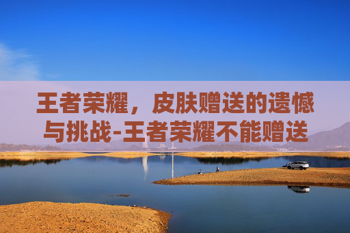 王者荣耀，皮肤赠送的遗憾与挑战-王者荣耀不能赠送皮肤怎么回事