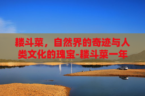 耧斗菜，自然界的奇迹与人类文化的瑰宝-耧斗菜一年开几次花