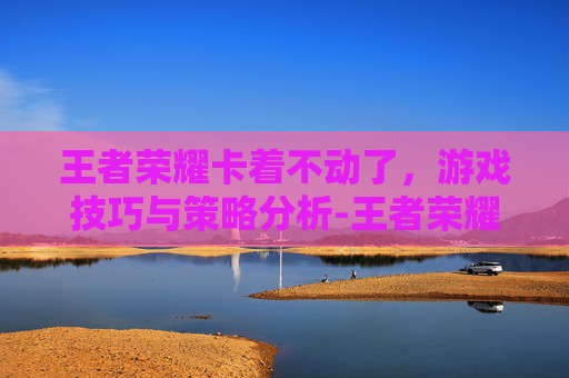 王者荣耀卡着不动了，游戏技巧与策略分析-王者荣耀卡着不动了怎么回事