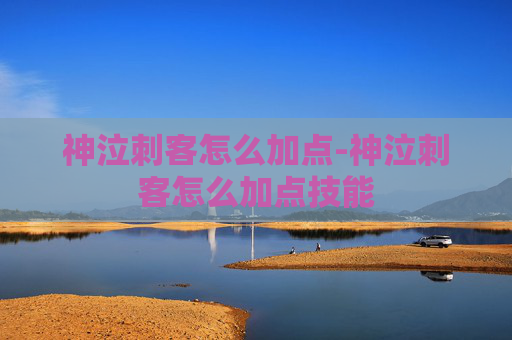神泣刺客怎么加点-神泣刺客怎么加点技能