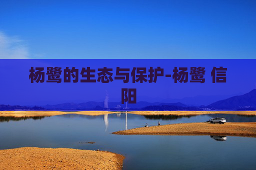 杨鹭的生态与保护-杨鹭 信阳