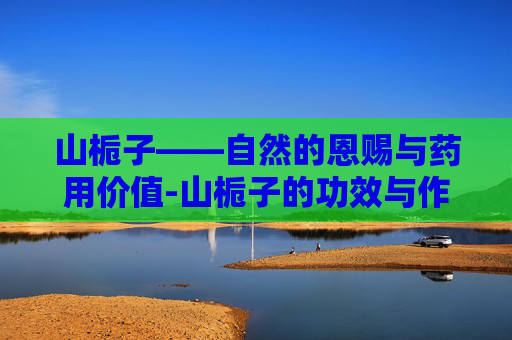山栀子——自然的恩赐与药用价值-山栀子的功效与作用