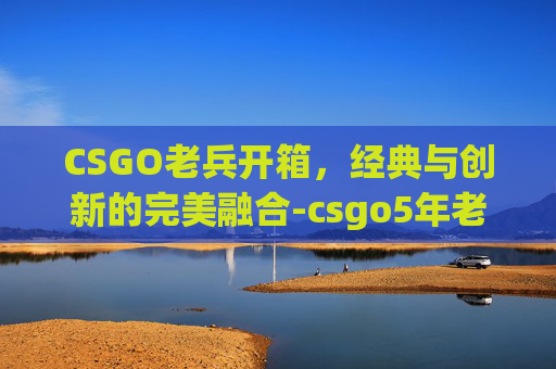 CSGO老兵开箱，经典与创新的完美融合-csgo5年老兵在哪领取