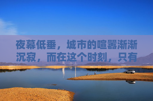 夜幕低垂，城市的喧嚣渐渐沉寂，而在这个时刻，只有极少数的人还坚守在工作岗位上。他们或许是为了生计，或许是为了梦想，但共同的是，他们都选择了在深夜里继续奋斗。-逆战ch