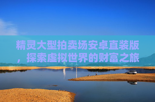精灵大型拍卖场安卓直装版，探索虚拟世界的财富之旅-精灵大型拍卖场エロ游戏