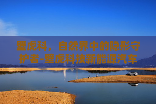 壁虎科，自然界中的隐形守护者-壁虎科技新能源汽车公司