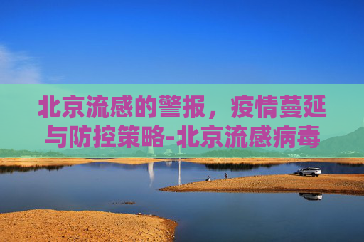 北京流感的警报，疫情蔓延与防控策略-北京流感病毒2026年4月