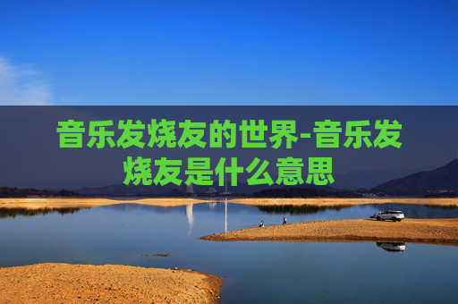音乐发烧友的世界-音乐发烧友是什么意思