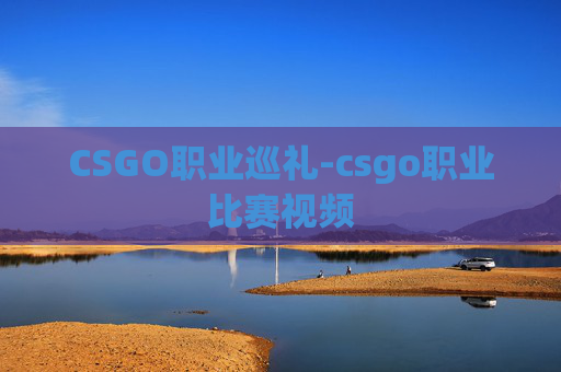 CSGO职业巡礼-csgo职业比赛视频