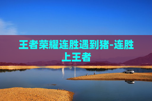 王者荣耀连胜遇到猪-连胜上王者