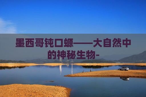 墨西哥钝口螈——大自然中的神秘生物-