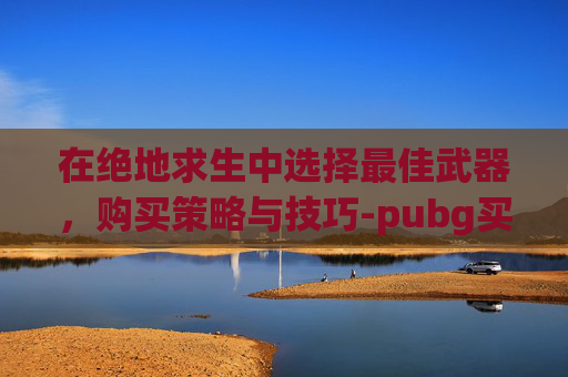 在绝地求生中选择最佳武器，购买策略与技巧-pubg买哪一个