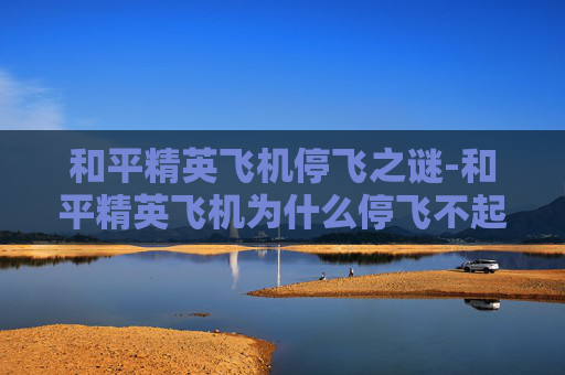 和平精英飞机停飞之谜-和平精英飞机为什么停飞不起来