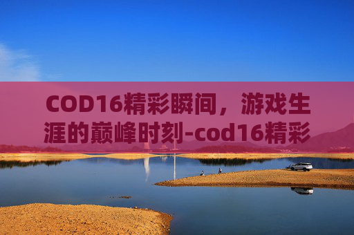 COD16精彩瞬间，游戏生涯的巅峰时刻-cod16精彩集锦