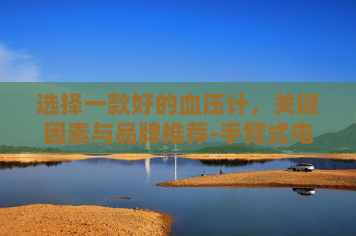 选择一款好的血压计，关键因素与品牌推荐-手臂式电子血压计什么牌子好