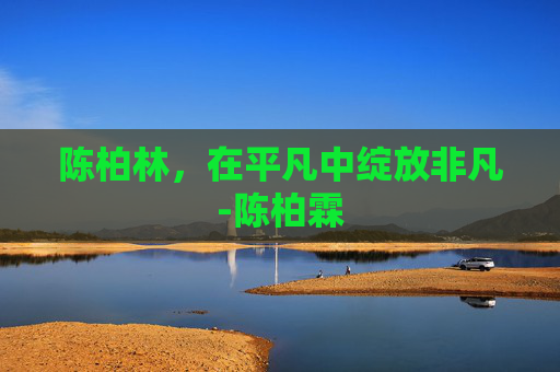 陈柏林，在平凡中绽放非凡-陈柏霖