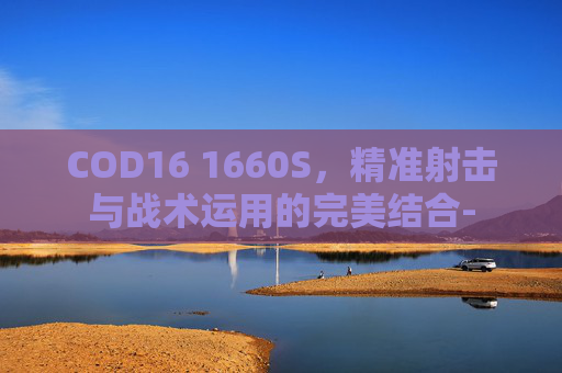 COD16 1660S，精准射击与战术运用的完美结合-