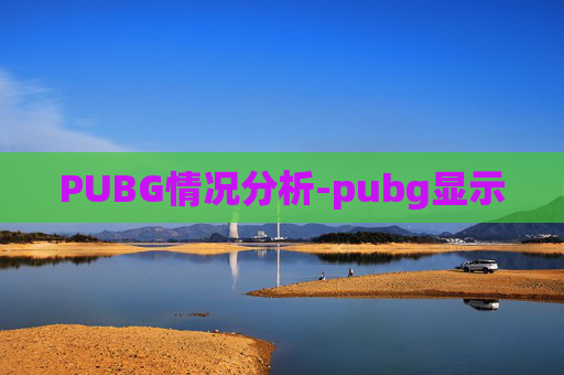 PUBG情况分析-pubg显示