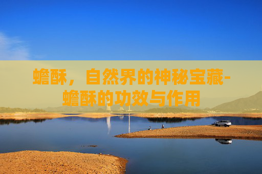 蟾酥，自然界的神秘宝藏-蟾酥的功效与作用