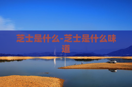 芝士是什么-芝士是什么味道