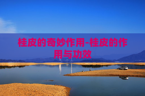 桂皮的奇妙作用-桂皮的作用与功效