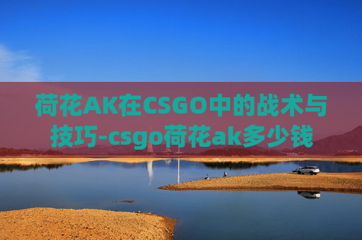 荷花AK在CSGO中的战术与技巧-csgo荷花ak多少钱